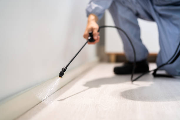 Licensed Fumigation Services service in Colquitt, GA - Nex Pest Control