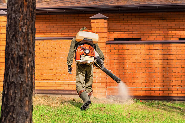 Trusted Bed Bug Control service in Colquitt, GA - Nex Pest Control